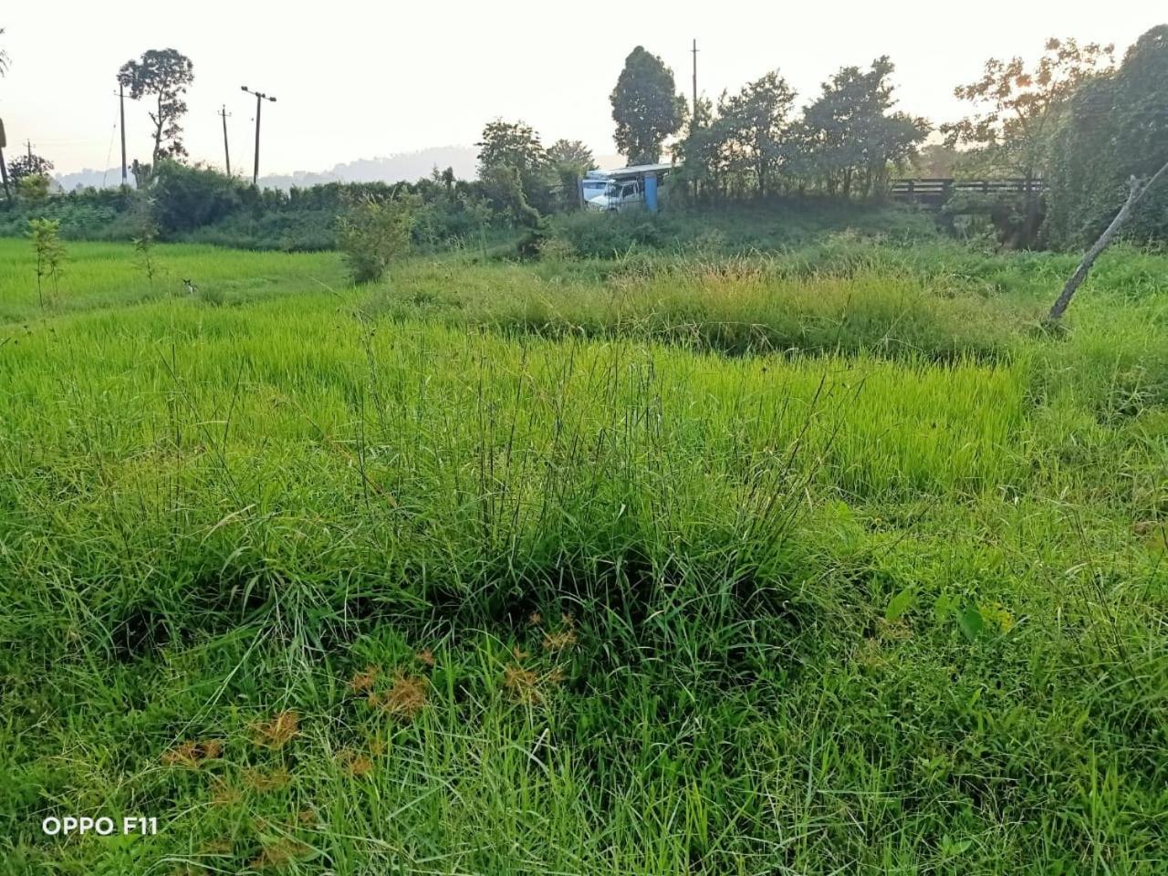 Samz Estate Stay 2Bhk Madikeri Esterno foto
